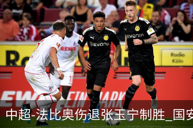 中超-法比奥伤退张玉宁制胜 国安1-0西海岸14轮不败