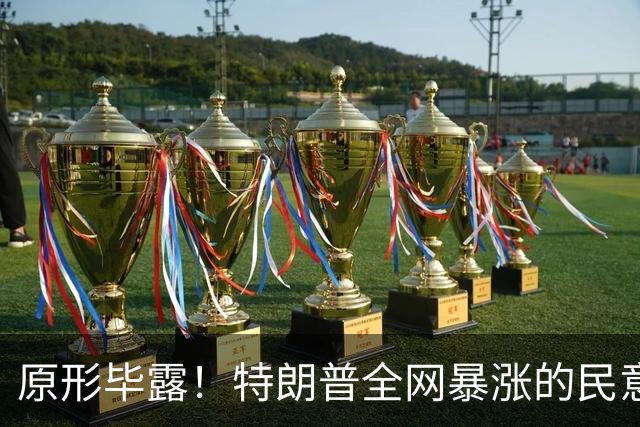 原形毕露！特朗普全网暴涨的民意，原来全是俄罗斯服务器刷的假象