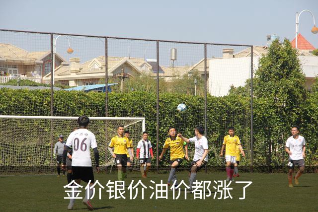 金价银价油价都涨了